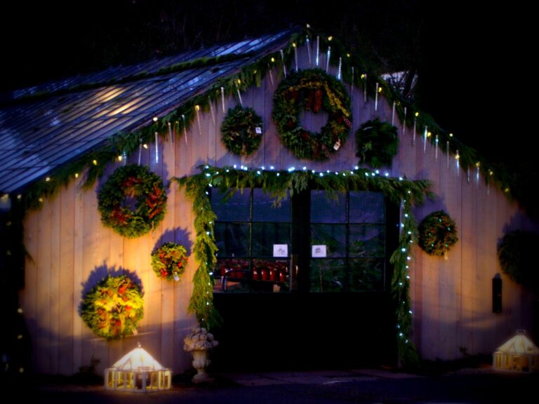 What Is Laradioduperenoel?